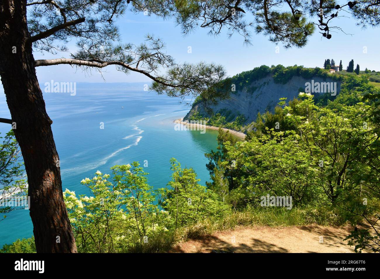 Malerischer Blick auf die Mondbucht an der Küste der Adria bei Strunjan in Istrien, Slowenien mit typischer mediterraner Vegetation Stockfoto