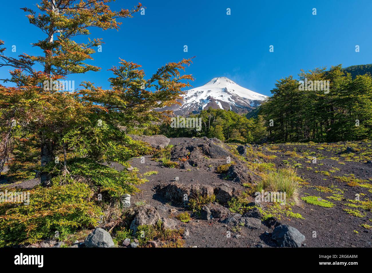 Blick auf den Gipfel des Vulkans villarrica vom Nationalpark villarica in der Region araucania in chile Stockfoto