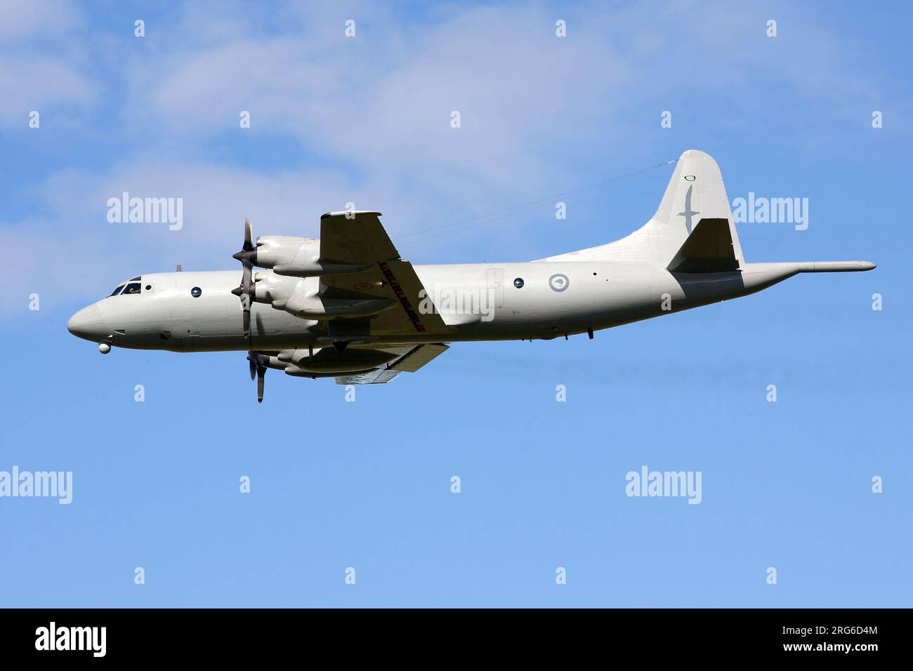 Ein Royal New Zealand Air Force P-3K2 Orion fliegt in Neuseeland vorbei. Stockfoto