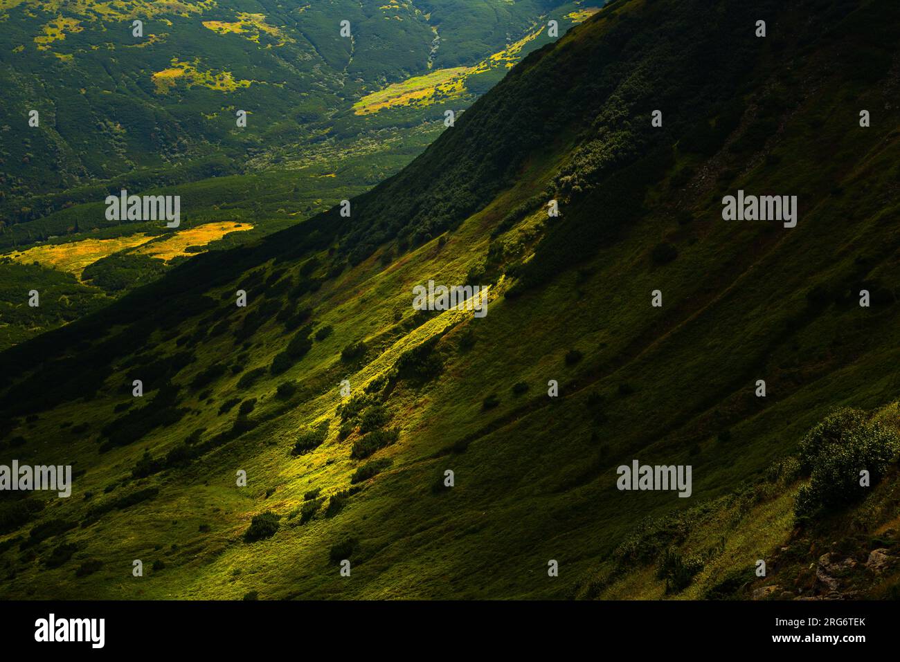 Malerischer Blick auf das Gebirgstal bei Sonnenschein die Green Mountains in Karpaten, Naturszenen, dramatische Landschaft Grün Stockfoto