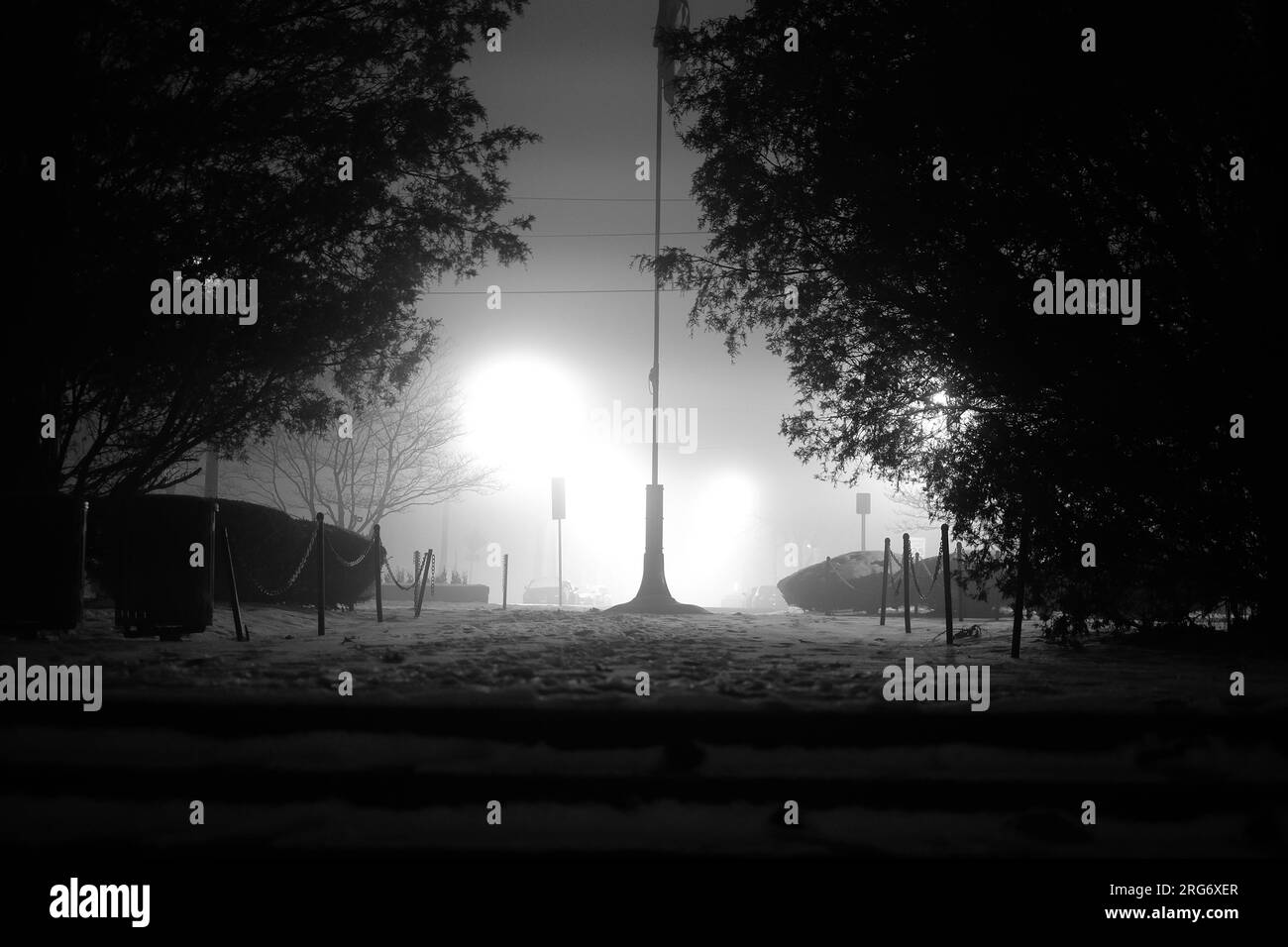 Künstlerische, intime Nahaufnahme des Naturlebens mit Sonnenaufgängen und Sonnenuntergängen in einem Stadtpark mit wechselnden Jahreszeiten vom Sommer zum Schnee in B&W. Stockfoto