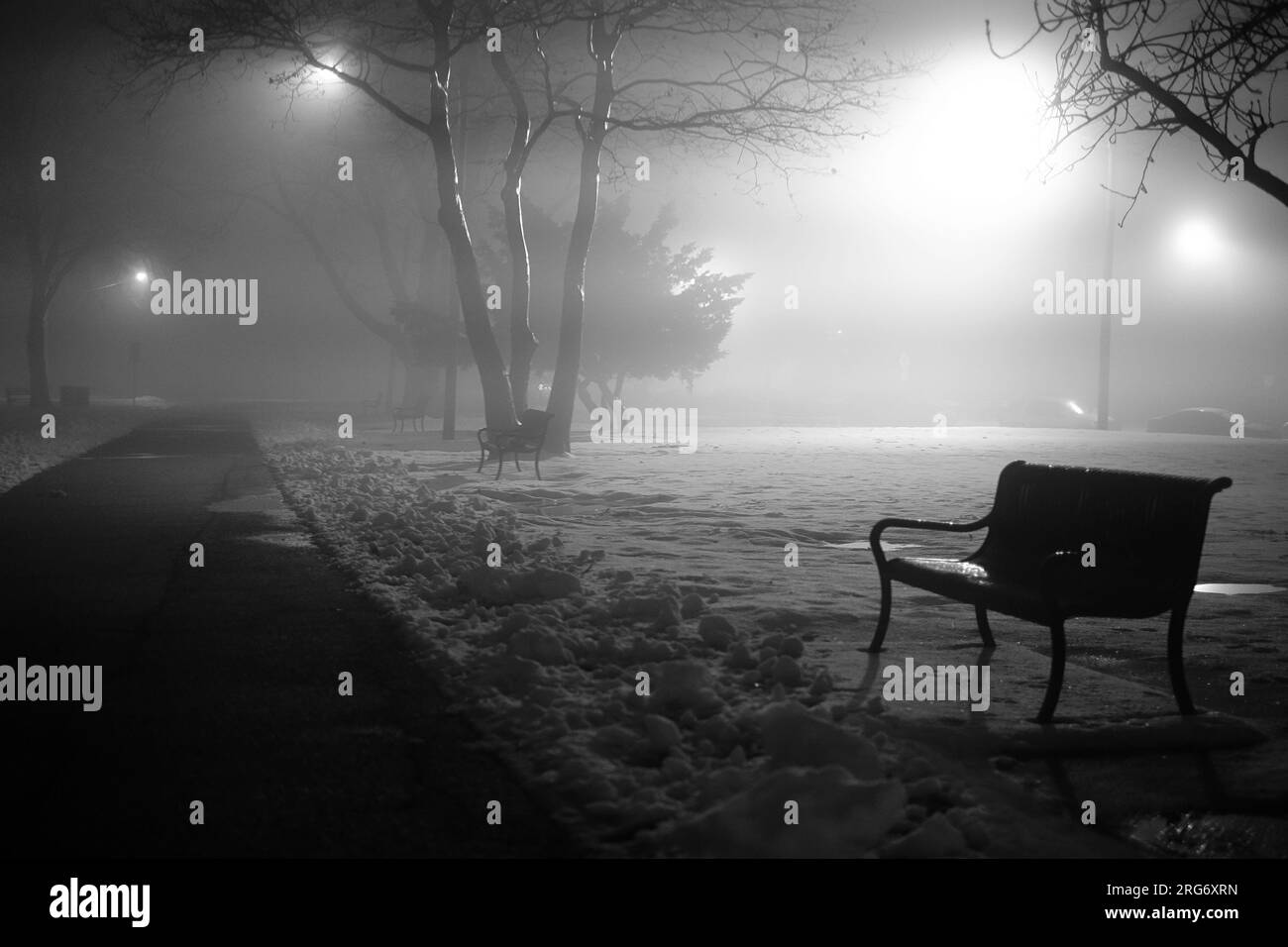 Künstlerische, intime Nahaufnahme des Naturlebens mit Sonnenaufgängen und Sonnenuntergängen in einem Stadtpark mit wechselnden Jahreszeiten vom Sommer zum Schnee in B&W. Stockfoto