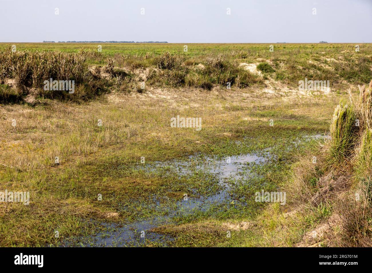 Landschaftsblick auf den Esteros del Ibera, ein Sumpf und Paradies für Naturliebhaber und Vogelbeobachter in Argentinien, Südamerika Stockfoto