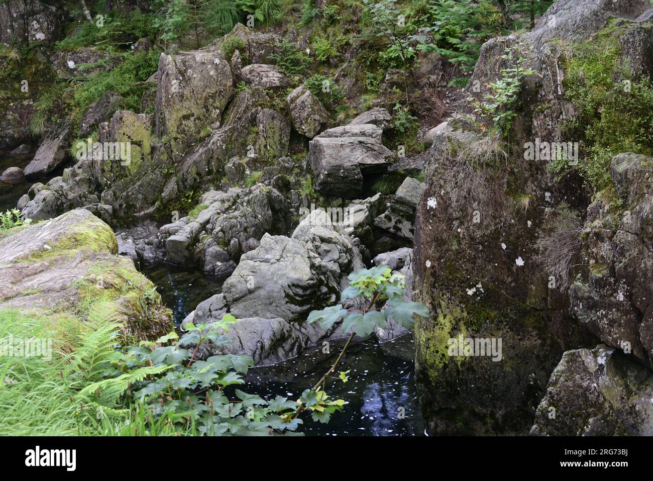 Duddon Valley, Cumbria, Vereinigtes Königreich, 7. August 2023. Ein Bach durch felsige Felsen, über Jahrhunderte durch Wasser erodiert. Ein Spaziergang bei Sonnenaufgang, Beginn um 04,30am Uhr, vor Sonnenaufgang (heute 04,58 Uhr (deutscher Zeit), von der Cockley Beck Farm bis zum Gipfel der Walna Scar Track oder Straße, im oberen Bereich des Duddon Valley, Lake District National Park, Cumbria, Großbritannien. Wasser hoch oben auf den Fells zu streuen, ist fast immer sicher zu trinken, es sei denn, ein totes Tier steckt in einem seltenen Fall im Wasser höher oben fest. Berge, Fells, Wandern, Wandern, Wandern, Seen, cumbrian. Kredit: Terry Waller/Alamy Live News Stockfoto