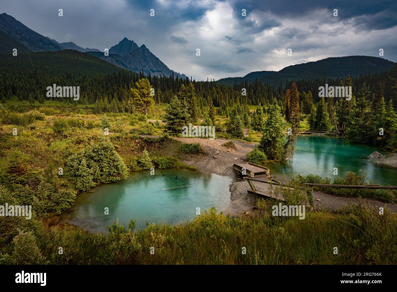 Glitzernde Tintentöpfe, grüne Wiesen und lebendige Pools vereinen sich unter sanftem Nieselregen und schaffen eine ruhige Symphonie der Schönheit. Banff-Nationalpark, Alberta C. Stockfoto