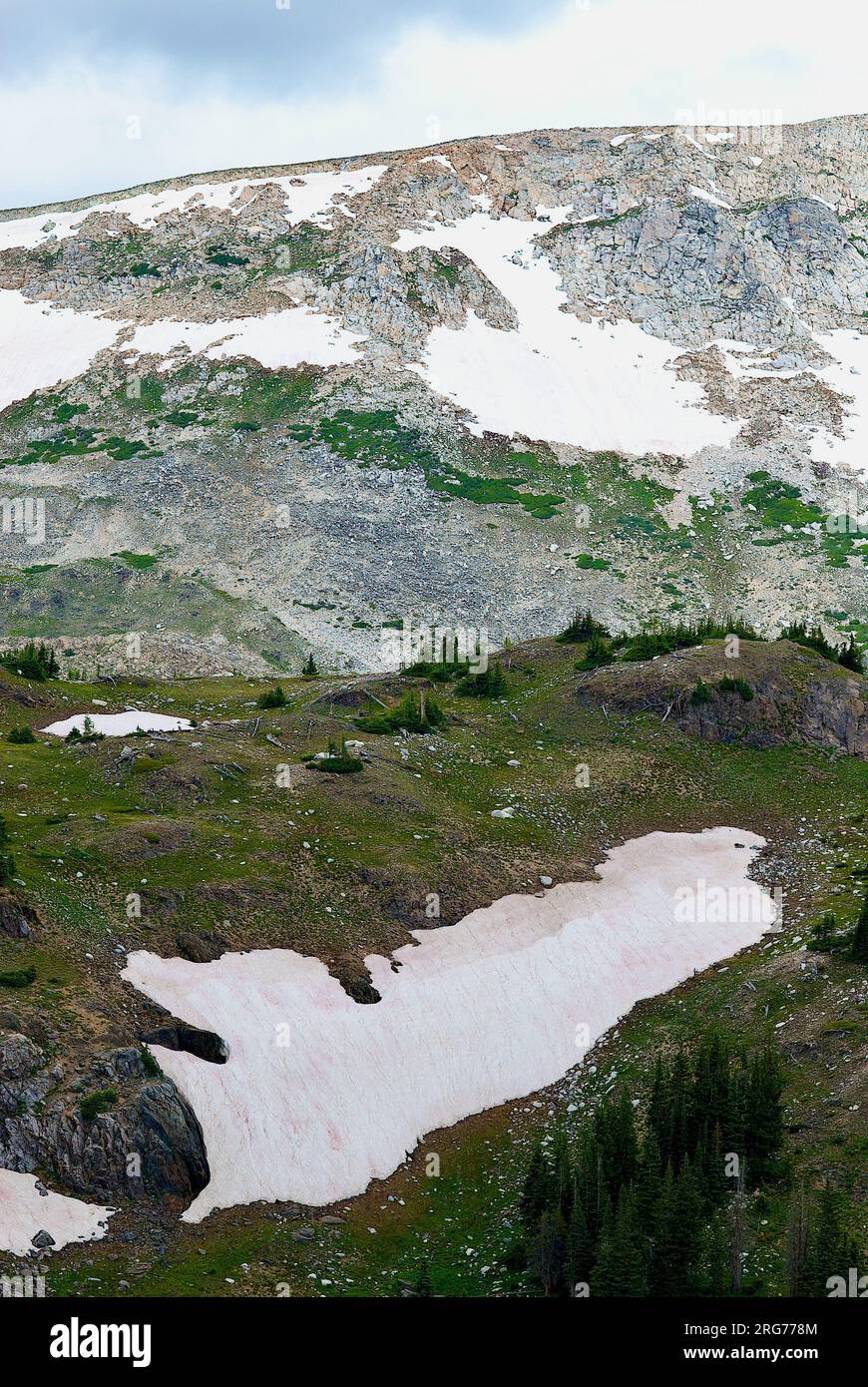 Wyoming, USA - 20. Juli 2023: Der Zuckerhut in der Snowy Range Area des Medicine Bow National Forest mit Schnee im Sommer. Stockfoto