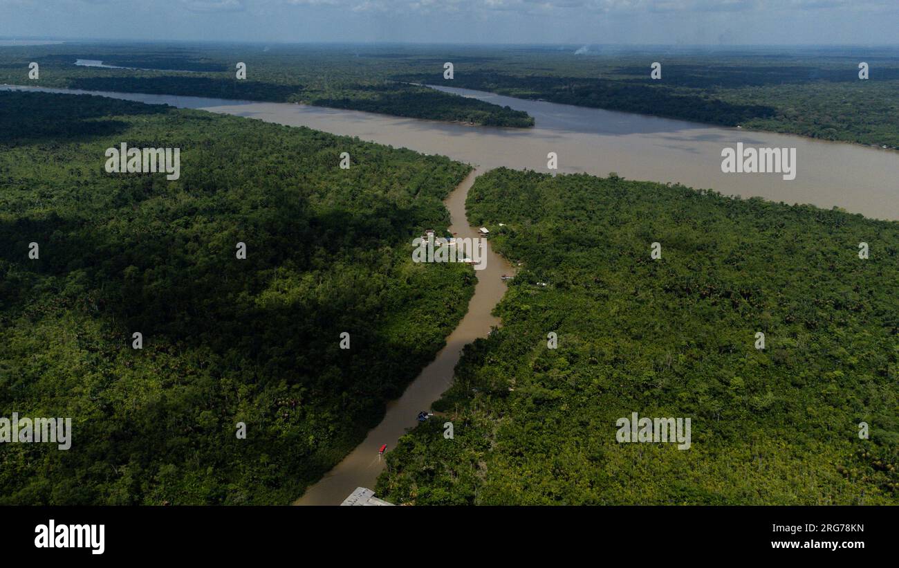 Belem, Brasilien. 07. Aug. 2023. Blick auf den Guama River und den Amazonas-Regenwald. Die Menschen leben am Ufer in Holzhütten, die als „Palafitas“ bekannt sind, und verdienen ihren Lebensunterhalt damit, die Früchte der Kohlpalme, Kakao, Fisch und den Tourismus zu verkaufen. Ab Dienstag werden die Staats- und Regierungschefs der südamerikanischen Amazonasländer über den Schutz des Regenwaldes in Belem, Brasilien, diskutieren. Kredit: Filipe Bispo Vale/dpa/Alamy Live News Stockfoto