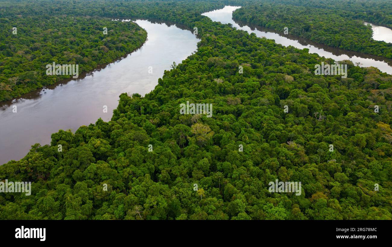 AMAZONAS-FLÜSSE, UMGEBEN VON DICHTEM DSCHUNGEL, WERDEN DIE MÄANDER BEOBACHTET Stockfoto