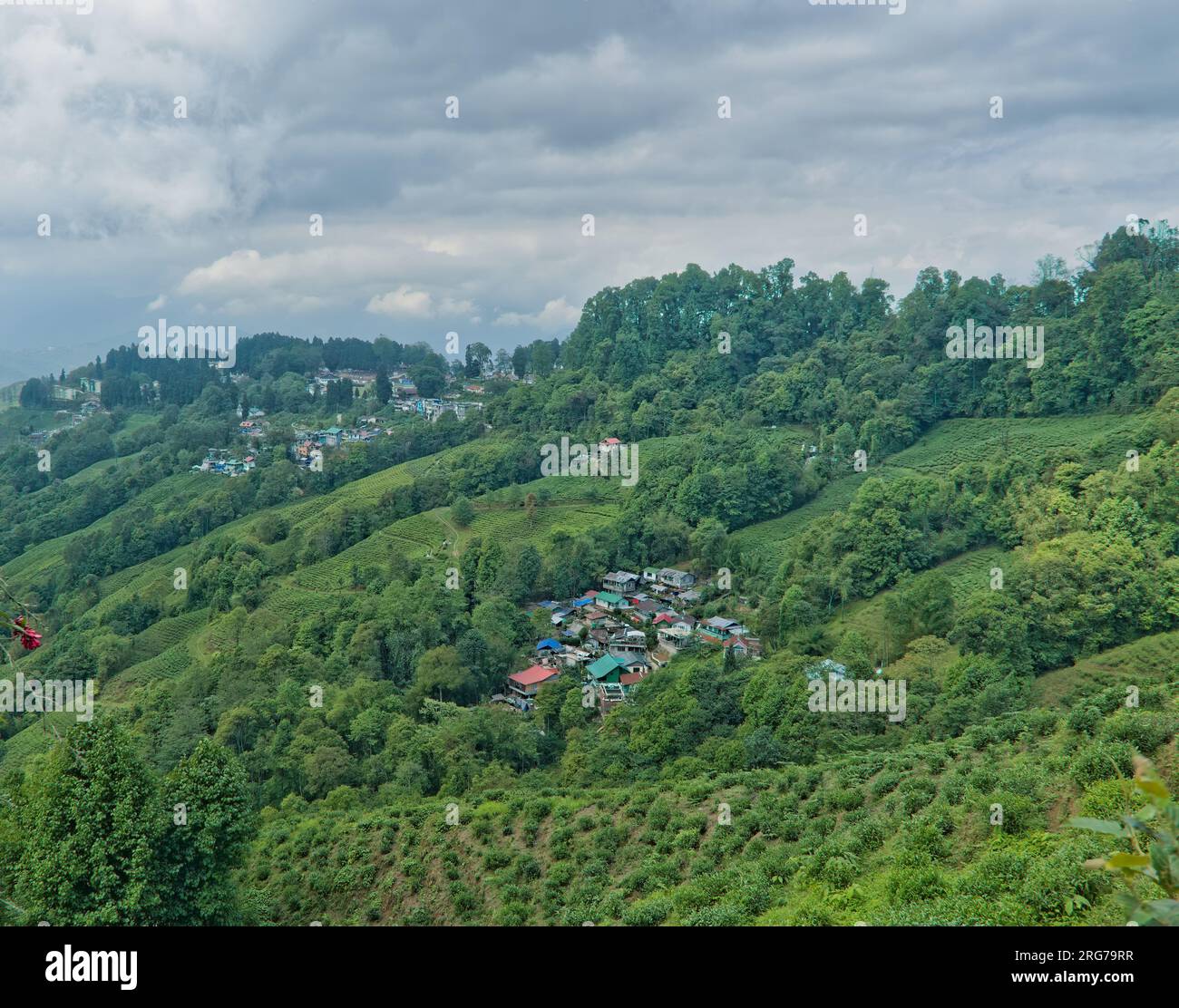 Darjeeling, Westbengalen, Indien - 05.26.2023. Landschaftsblick auf den Teegarten in der Darjeeling Hill Station an einem hellen, sonnigen Tag Stockfoto