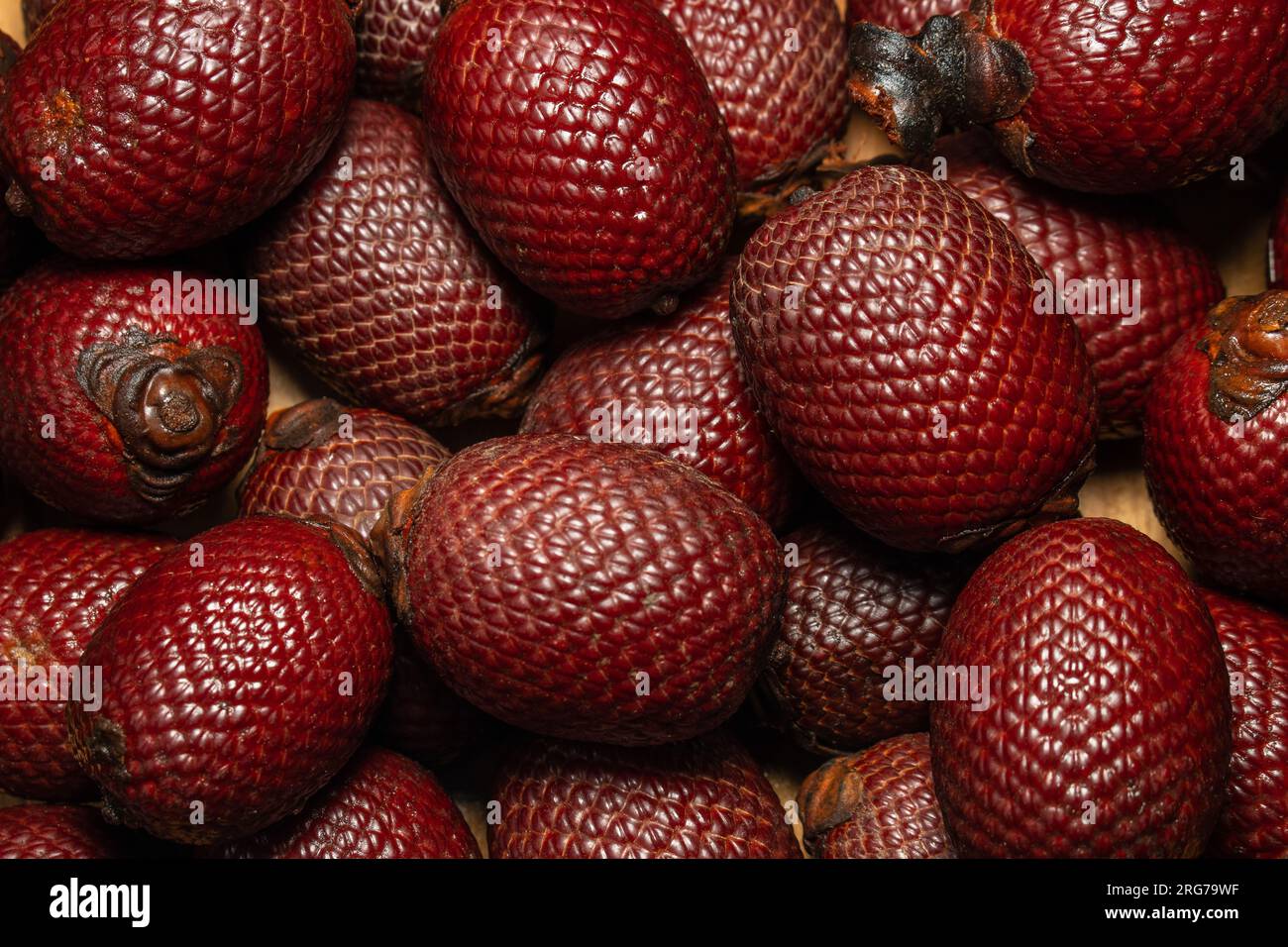 Buruti ist eine im Amazonas weit verbreitete Frucht, sie ist nahrhaft und hat viele Eigenschaften, die sie sehr lecker machen. Stockfoto