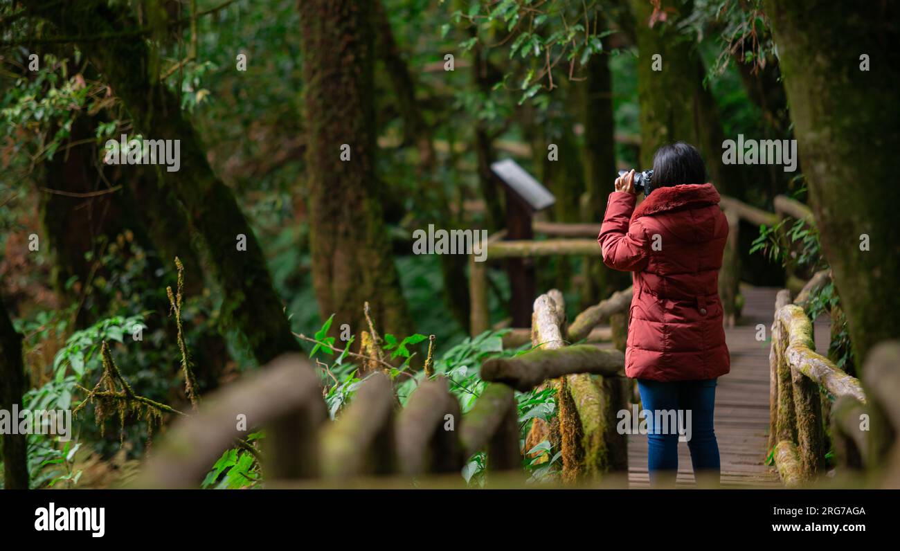 Fotografin, die im Regenwald Naturaufnahmen macht. Reisen, Thailand Stockfoto