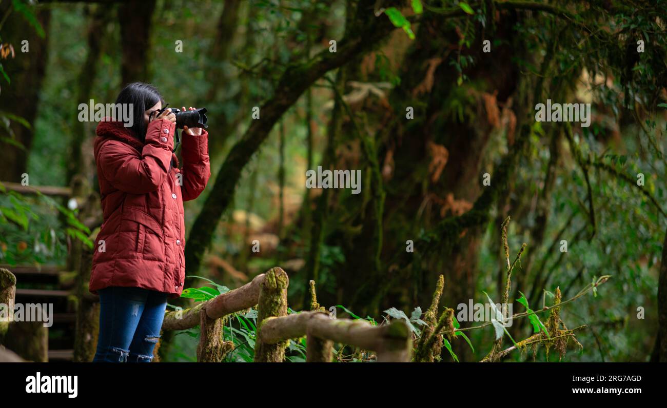 Fotografin, die im Regenwald Naturaufnahmen macht. Reisen, Thailand Stockfoto
