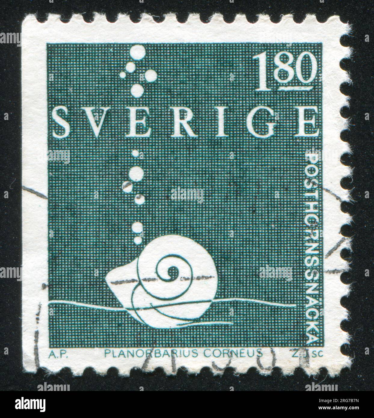RUSSLAND KALININGRAD, 8. SEPTEMBER 2013: Stempel gedruckt von Schweden, zeigt Planorbis-Schnecke, circa 1983 Stockfoto