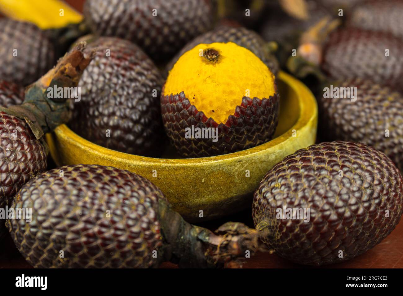 Aguaje ist eine sehr geschätzte Frucht im Amazonas wegen ihres Geschmacks und ihrer ernährungsphysiologischen Eigenschaften Stockfoto
