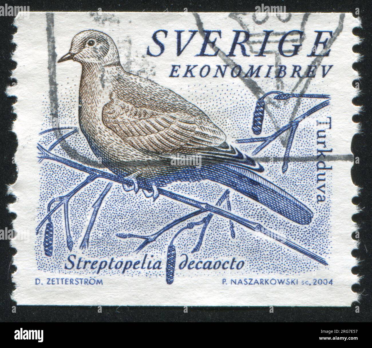 SCHWEDEN - CIRCA 2004: Von Schweden gedruckter Stempel, zeigt Turtledove, circa 2004 Stockfoto