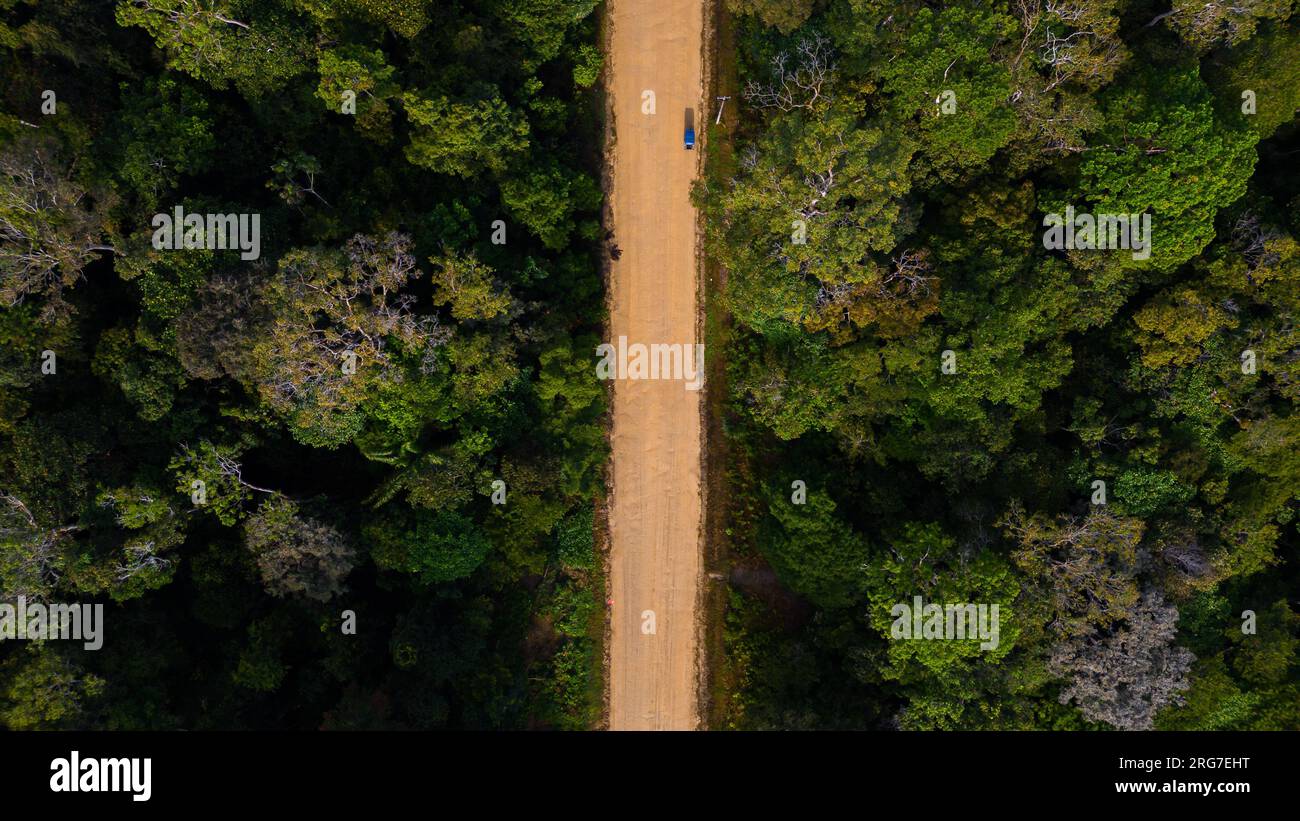 Die Amazonischen Wälder von Loreto in Peru haben eine große Vegetation und werden in vielen Fällen nicht von Flüssen überflutet Stockfoto