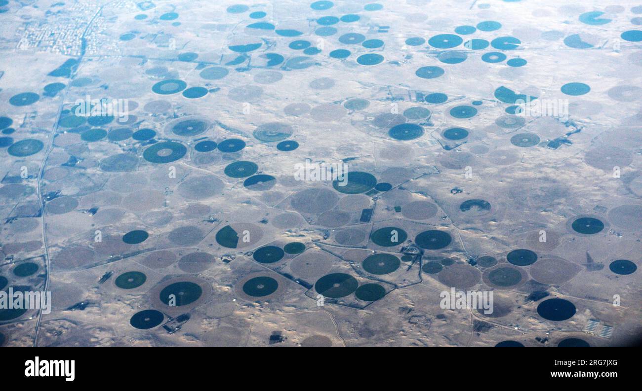 Luftaufnahme von kreisförmigen Agrarfeldern in der arabischen Wüste in Saudi-Arabien. Stockfoto