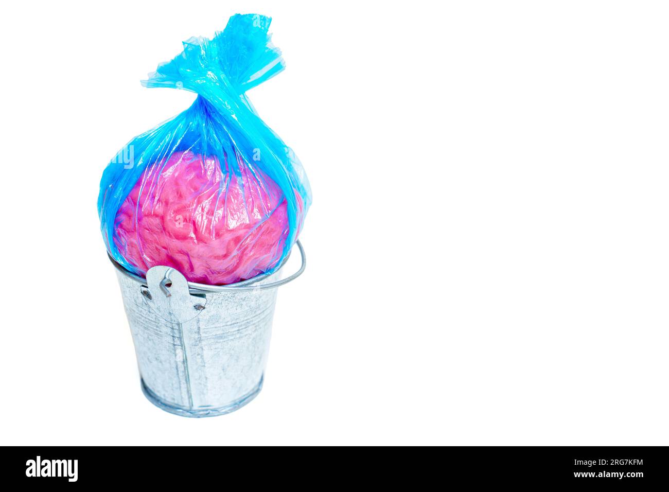 Nahaufnahme eines menschlichen Gehirnmodells, verpackt in einen blauen Müllsack und in einen Abfalleimer gelegt, isoliert auf weißem Hintergrund mit Kopierbereich. Eliminieren Stockfoto