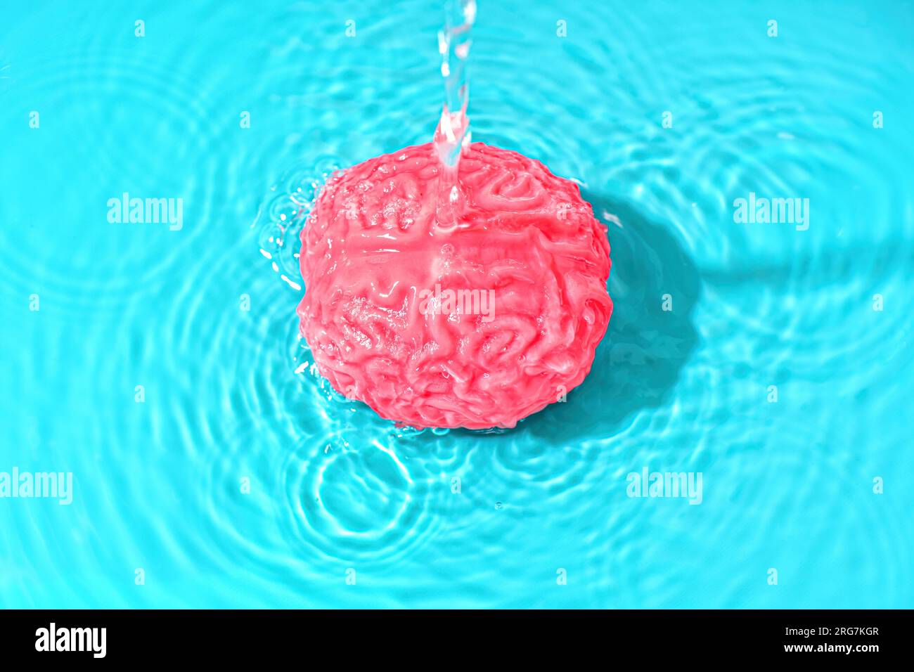 Der Wasserstrom tropft auf ein gelartiges Modell des menschlichen Gehirns, das in Wasser vor einem ruhigen blauen Hintergrund eingetaucht ist. Das Konzept der Konstante Stockfoto