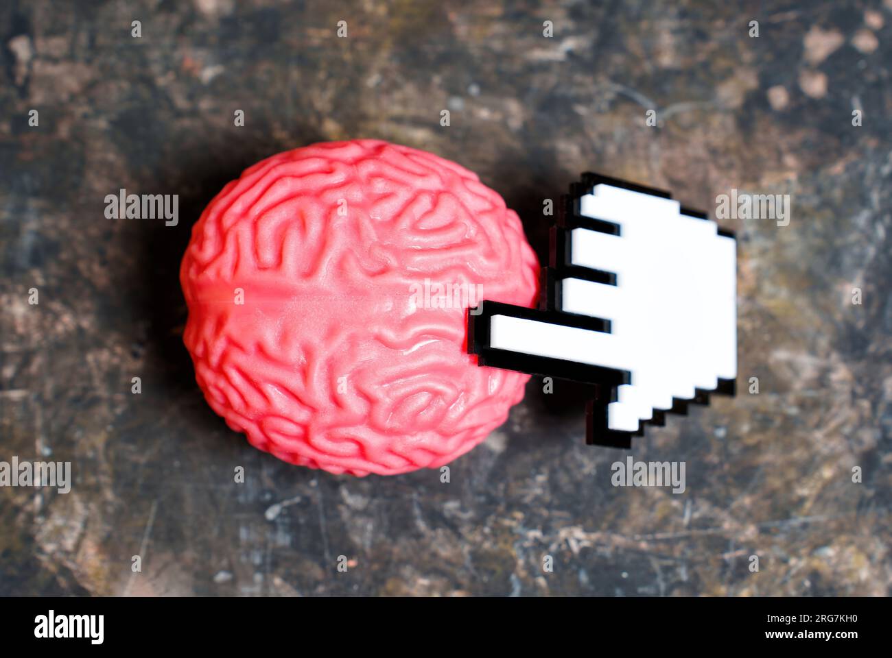 Der Plastik-Zeiger berührt ein pinkfarbenes menschliches Hirnmodell auf einem schmutzigen Hintergrund. Stockfoto