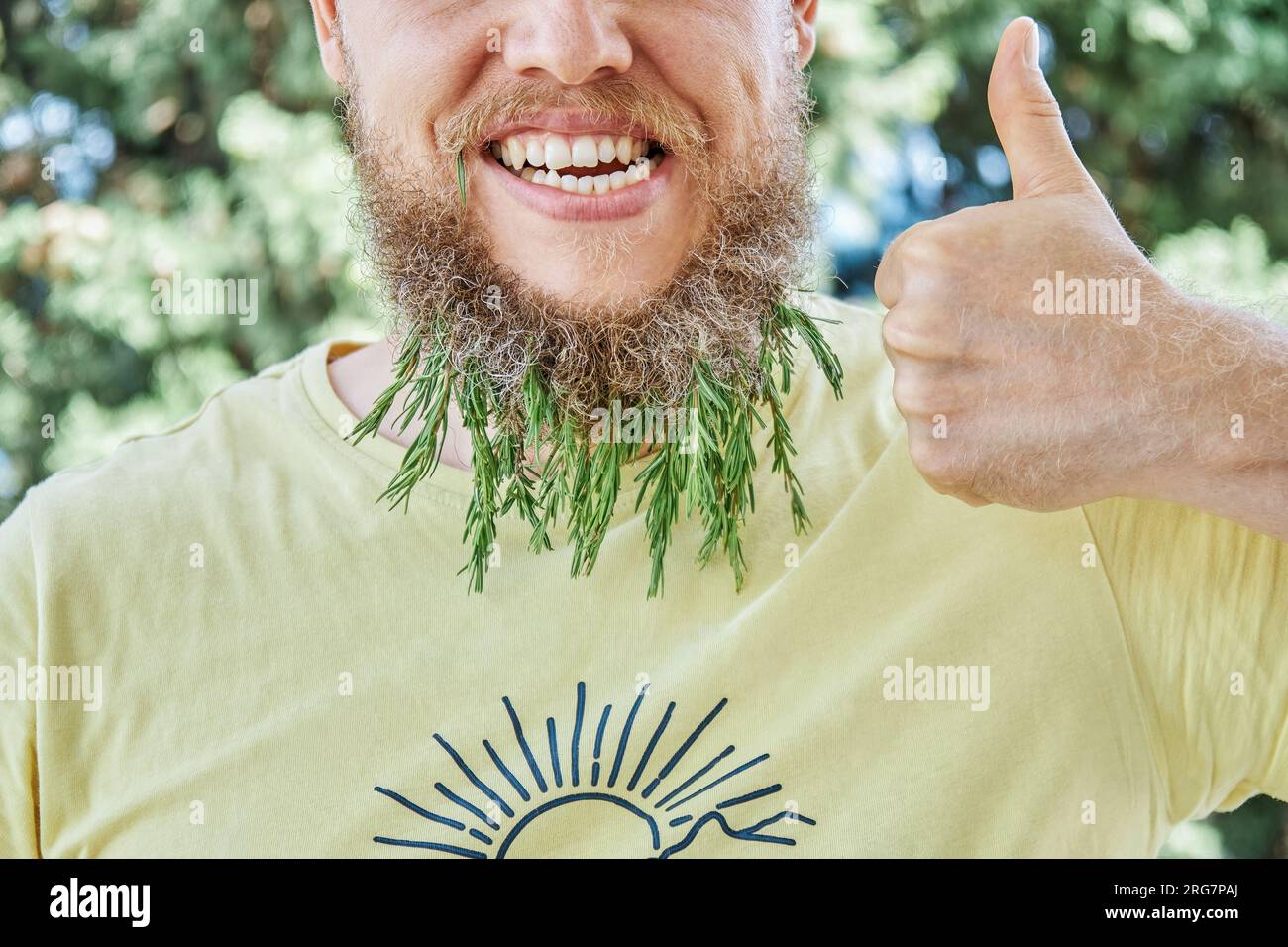 Lächelnder Männerbart und duftender Rosmarin-Zweig. Ein erwachsener, kindischer Mann auf einer sonnigen Wiese mit aufgeregtem Gesichtsausdruck und Daumen-hoch-Nahaufnahme Stockfoto