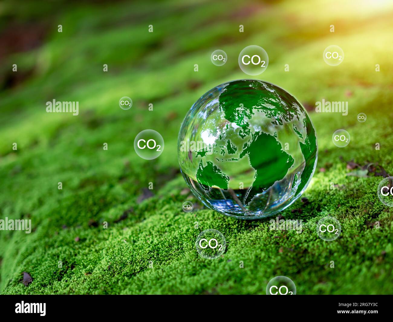 Kristallkugel auf Moos im grünen Wald. Konzept zur Reduzierung der CO2-Emissionen, saubere und umweltfreundliche Umwelt ohne Kohlendioxidemissionen. Bäume Pflanzen Stockfoto
