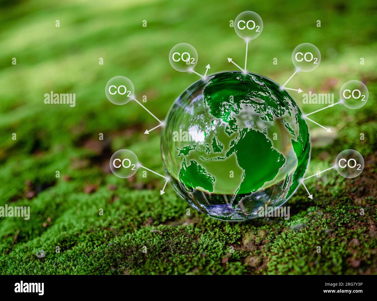 Kristallkugel auf Moos im grünen Wald. Konzept zur Reduzierung der CO2-Emissionen, saubere und umweltfreundliche Umwelt ohne Kohlendioxidemissionen. Bäume Pflanzen Stockfoto
