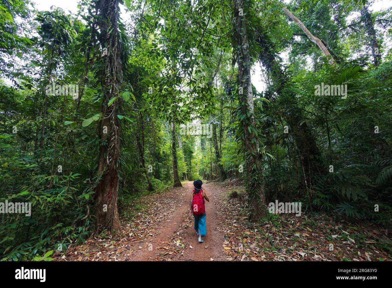 Frau, die allein im Dschungel von Koh Kood, Thailand, reitet Stockfoto