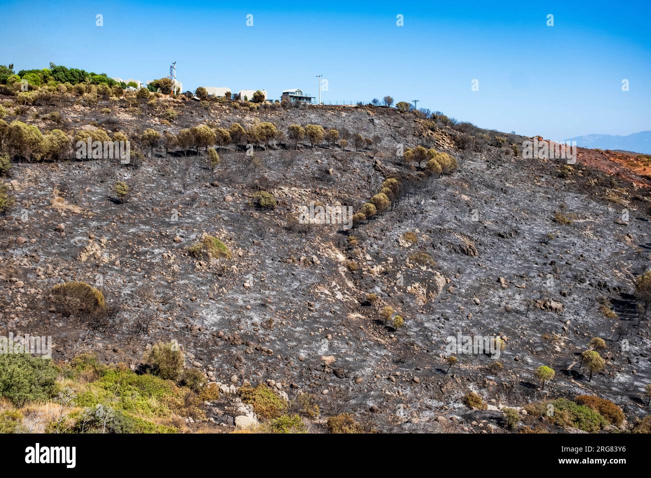 Entwaldung nach einem verheerenden, gefährlichen Waldbrand an der ägäischen Küste. Notfall-Hintergrund mit Kopierbereich. Ökologische globale Erwärmung und Klima c Stockfoto
