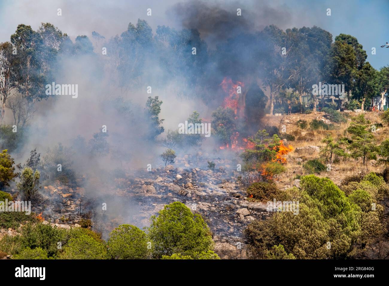 Gefährliche Flammenzungen, brennende Bäume und Feuerrauch an der ägäischen Küste. Notfall-Hintergrund mit Kopierbereich. Ökologische globale Erwärmung Stockfoto