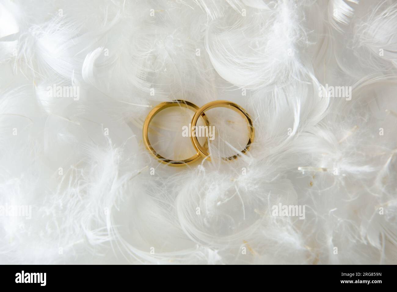Detail mit zwei goldenen Ringen auf einem weißen Tisch mit weißen Federn. Draufsicht. Stockfoto
