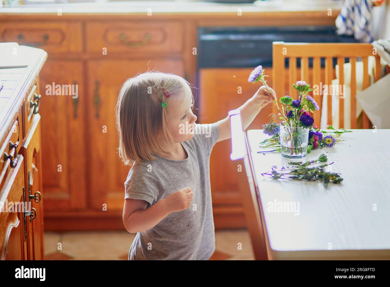 Ein bezauberndes Kleinkind, das zu Hause Blumenstrauß macht. Kind, das Astern ins Wasser stellt. Aktivitäten für Kinder zu Hause Stockfoto