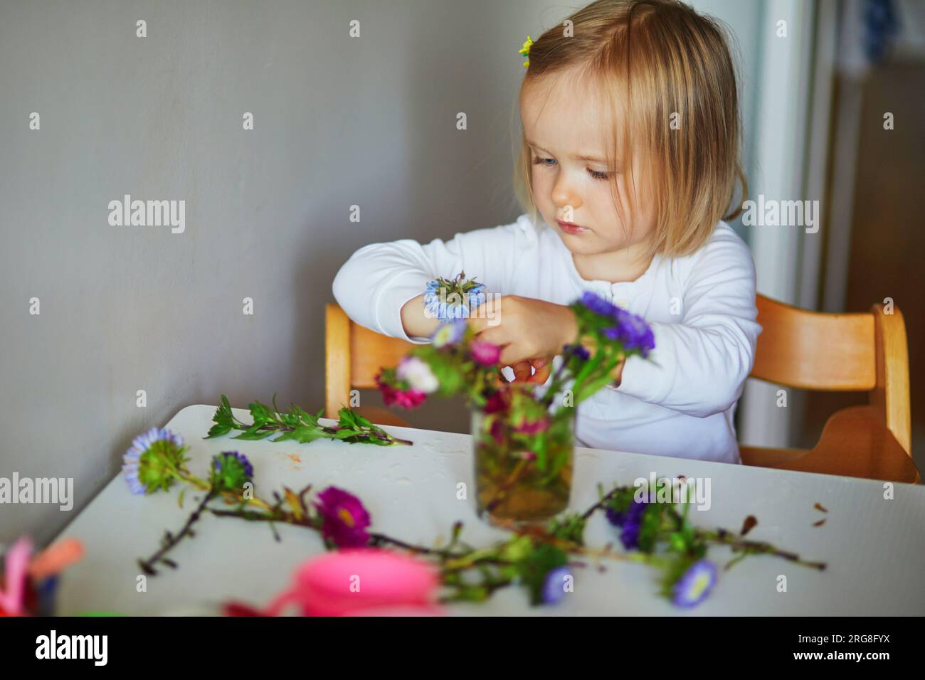 Ein bezauberndes Kleinkind, das zu Hause Blumenstrauß macht. Kind, das Astern ins Wasser stellt. Aktivitäten für Kinder zu Hause Stockfoto