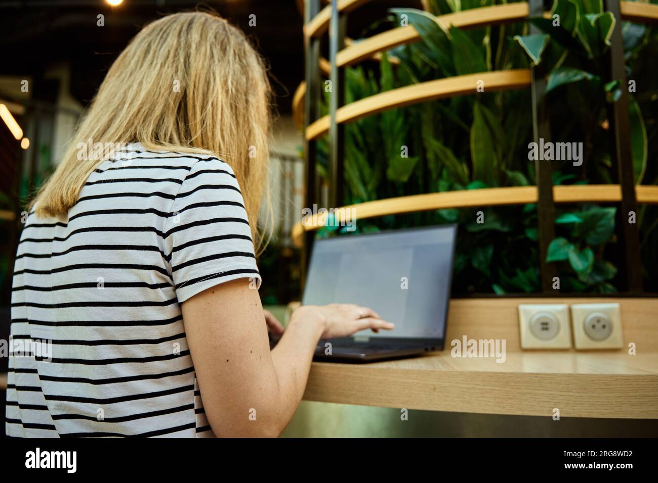 Frau, die mit einem Laptop arbeitet und mit grünen Pflanzen zusammenarbeitet. Weibliche Freiberuflerin, die auf der Laptop-Tastatur tippt. Online-Arbeit im Café Stockfoto