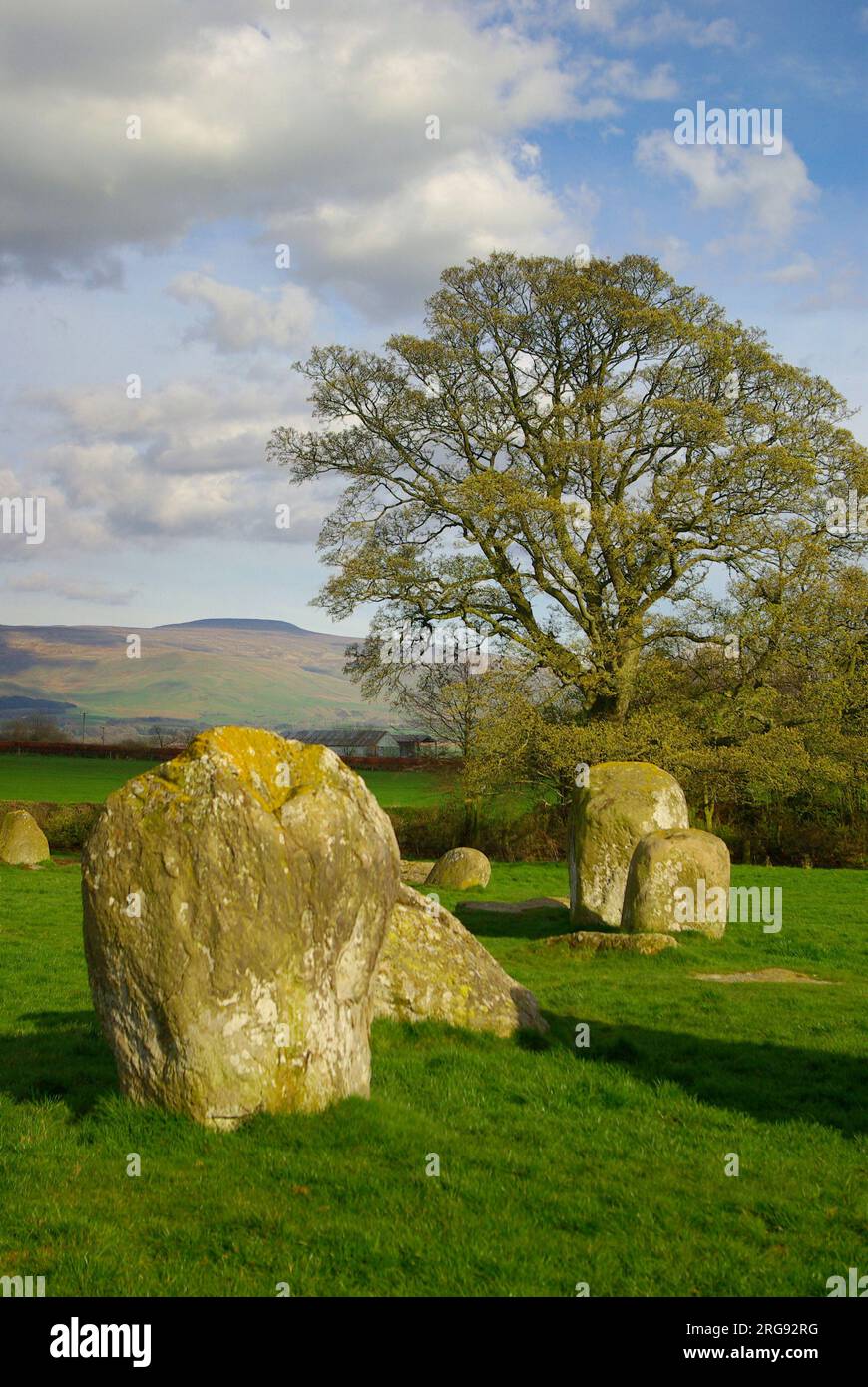 Long Meg und ihre Töchter, in der Nähe von Penrith und Little Salkeld, Cumbria. Dies ist der drittgrößte Steinkreis in England, bestehend aus einem ovalen Ring mit einer Größe von 300 x 360 Fuß und mehreren großen Steinen, von denen der größte und höchste die Long Meg ist, der „größte Stein“ (auf diesem Bild nicht sichtbar). Stockfoto