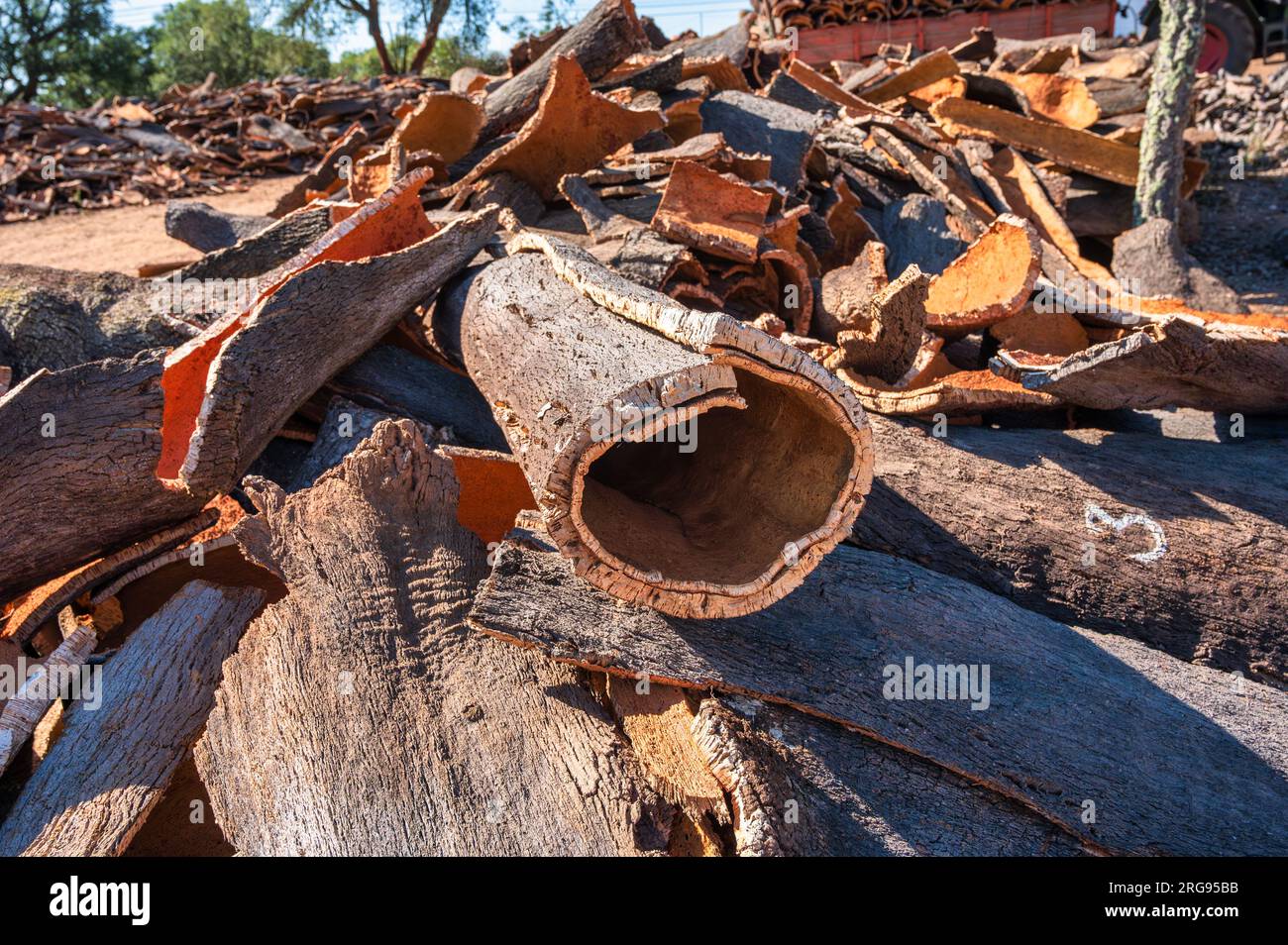 Auf einem Feld in Alentejo Portugal warten Korkpillen auf die Verarbeitung Stockfoto