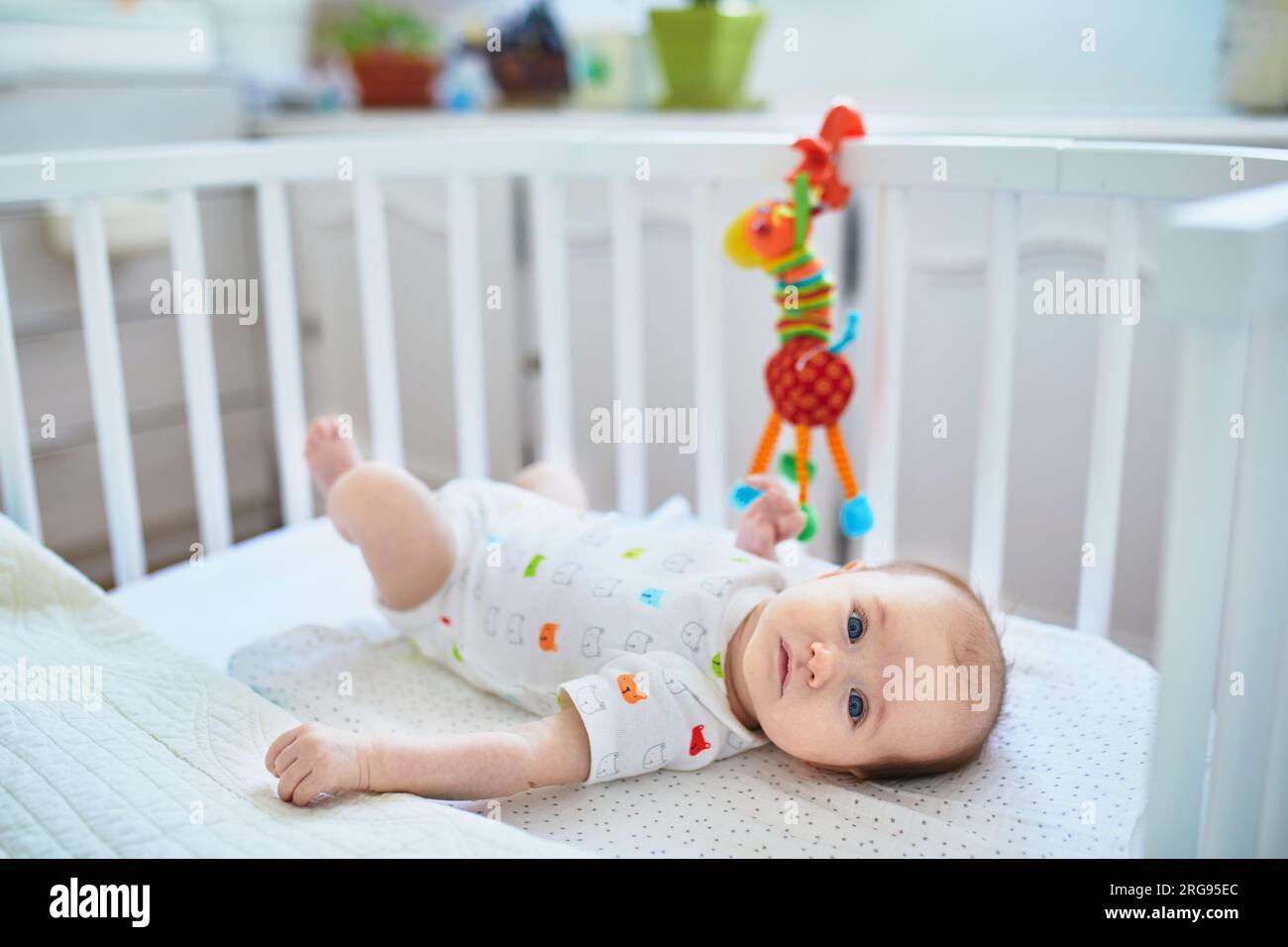 Neugeborenes Mädchen, das sich in einem Babybett ausruht, das am Bett der Eltern befestigt ist und mit Spielzeug spielt Stockfoto