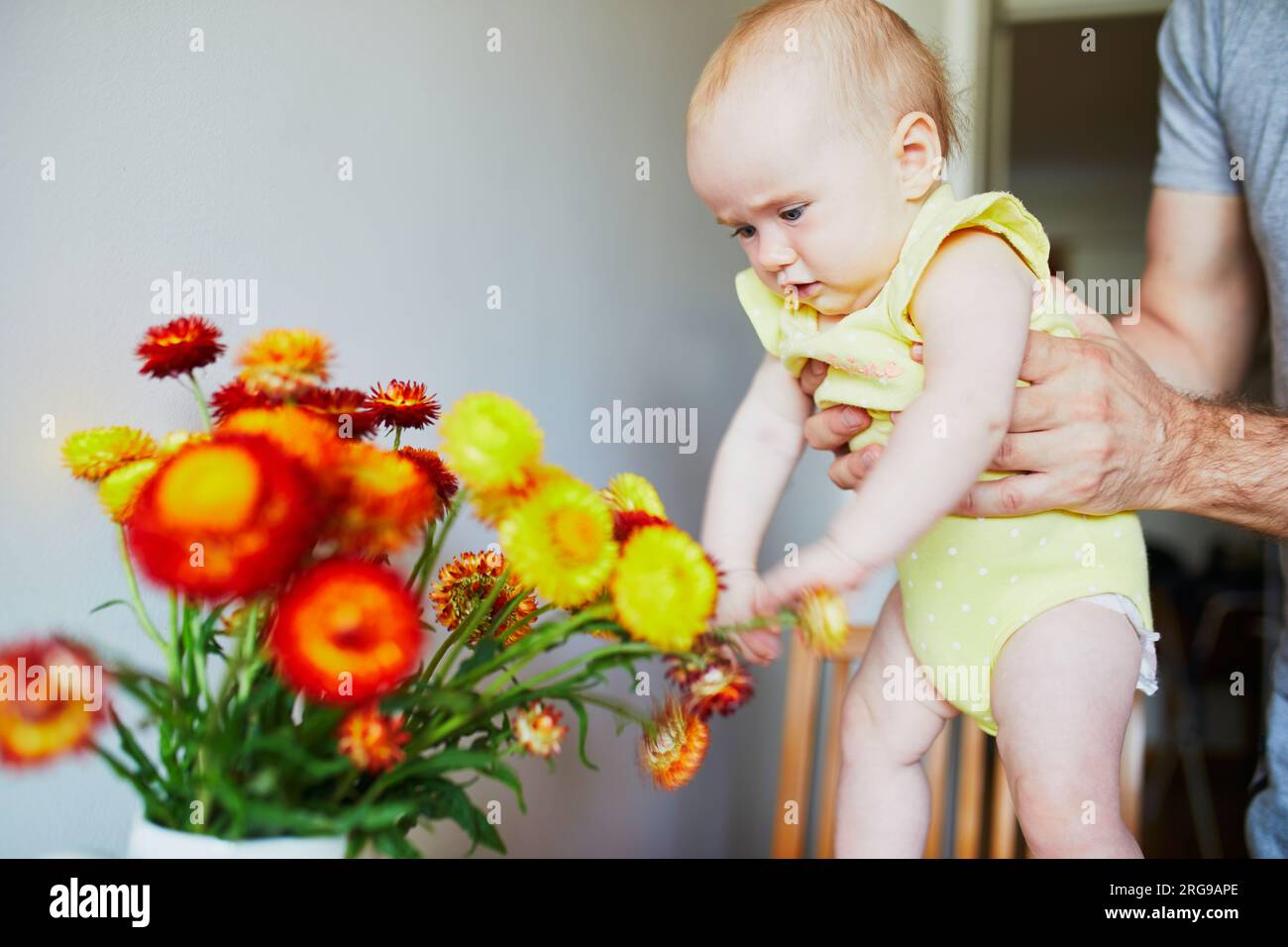 Ein Mann hält ein kleines Mädchen und lässt sie Blumen berühren. Ein kleiner Junge und ein Blumenstrauß Stockfoto