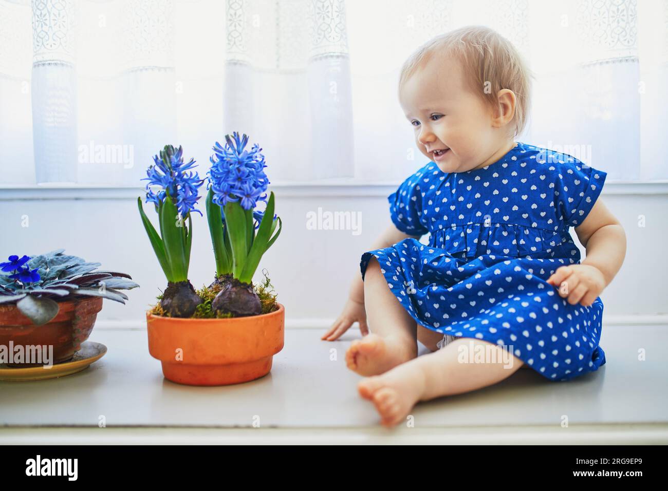 Ein kleines Mädchen in blauem Kleid, das auf dem Fensterbrett mit blauen Hyazinthen sitzt. Kleines Kind zu Hause im sonnigen Kinderzimmer. Ein Kleinkind, das mit Blumen Spaß hat Stockfoto