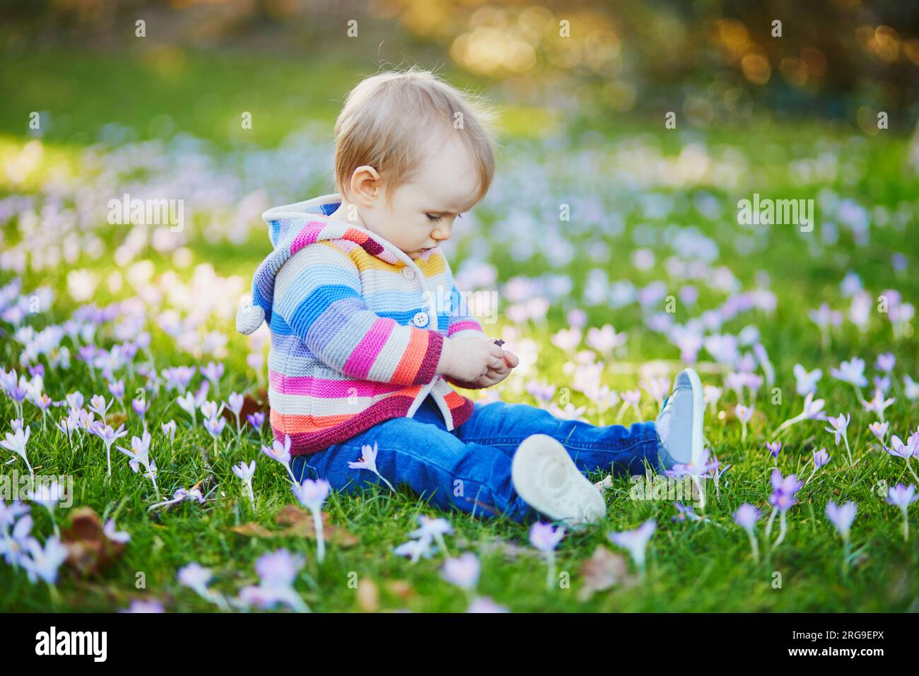 Ein Mädchen in Strickkleidung, das auf dem Gras sitzt und blaue Hyazinthen trägt. Ein kleines Kind im Freien an einem Frühlingstag. Ein Kleinkind, das mit Blumen Spaß hat Stockfoto