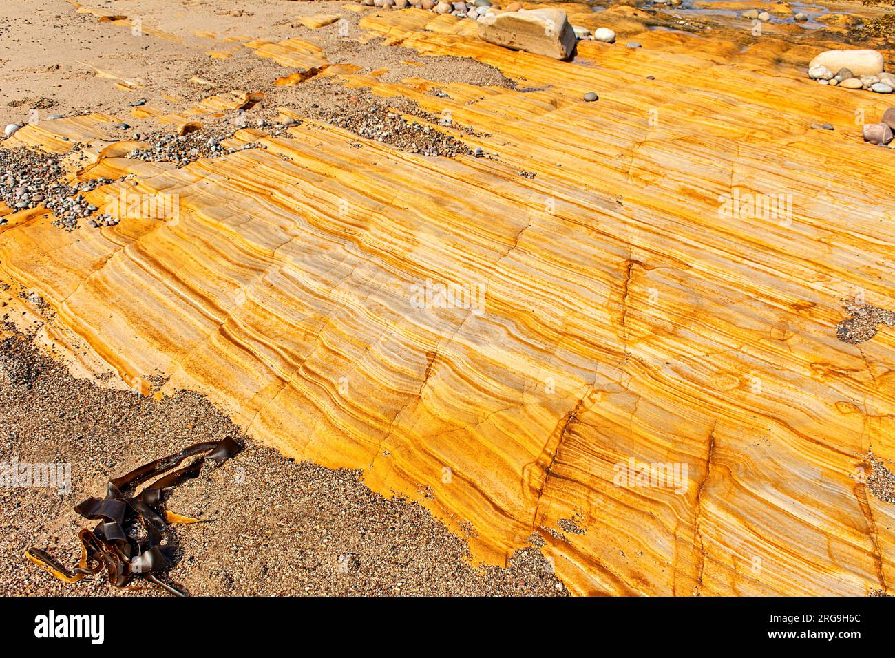 Hopeman Beaches Wellenmuster auf einer aus Sandstein bestehenden orangefarbenen Felswand im Moray Firth Basin Schottland Stockfoto