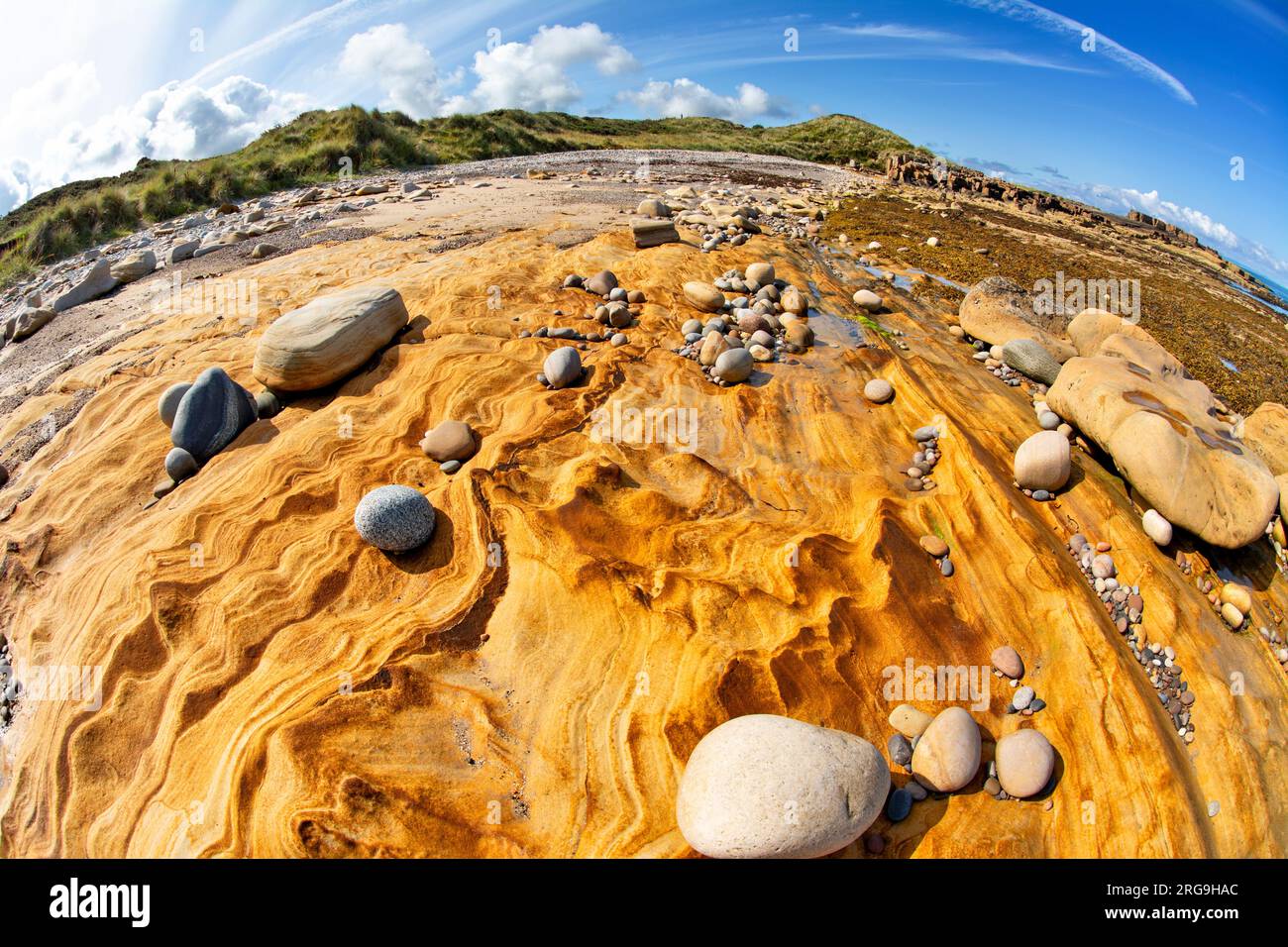 Hopeman Beaches Wellenmuster auf einer aus Sandstein bestehenden orangefarbenen Felswand im Moray Firth Basin Schottland Stockfoto