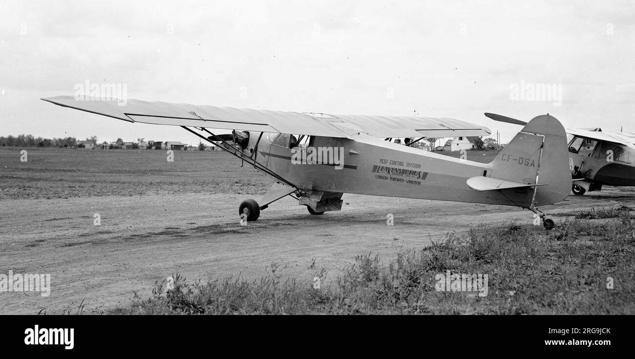 Cub Aircraft Corporation of Hamilton, J3, Piper Cub, CF-DSA, Hersteller-Seriennummer 180C. Hergestellt in Hamilton, Ontario, KANADA, im Juli 1946. Die Modellbezeichnung lautete J3-C65. CF-DSA war Eigentum von Leavens Bros Air Services Ltd. Aus Toronto. Es wurde in der Pest Control Division verwendet, um landwirtschaftliche Nutzpflanzen aus der Luft mit Büros in London, Toronto und Windsor zu besprühen. Stockfoto