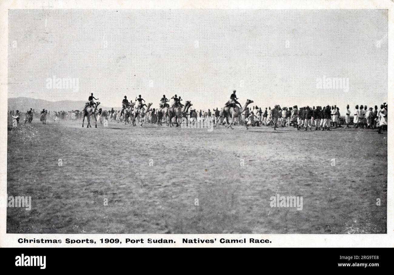 Kamelrennen - Port Sudan, Sudan - Weihnachtssport Stockfoto