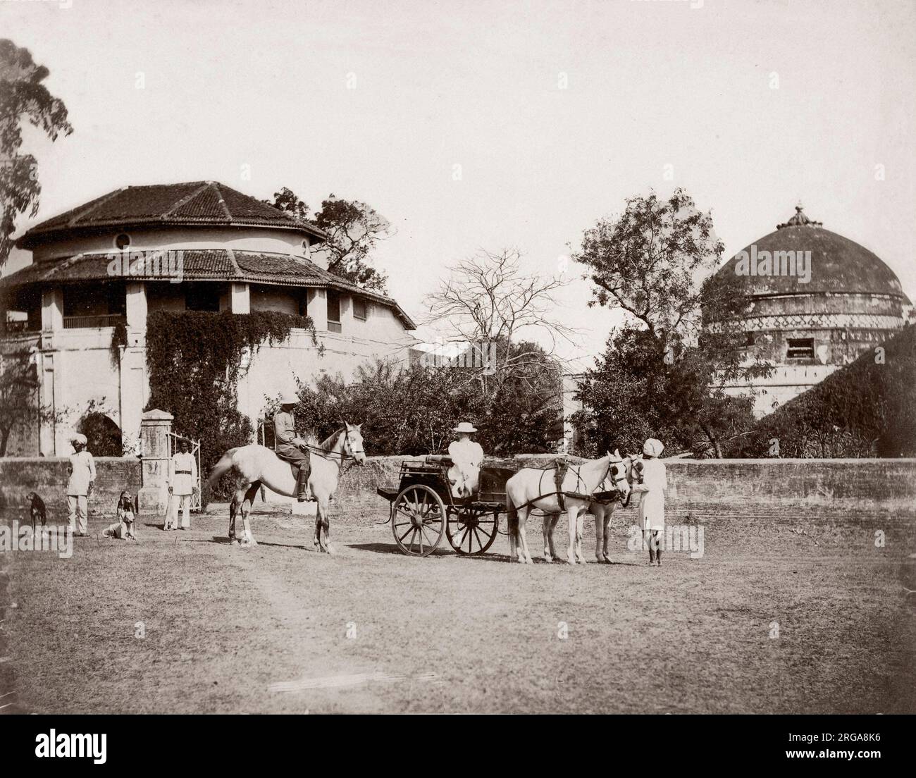 C 1880 s Indien - Europäische Paar mit Pony und Trap, Pferd und Bediensteten Stockfoto