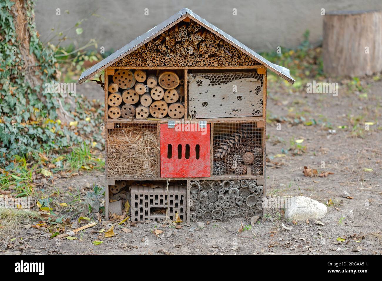 Wooden House Habitat Hotel for Bees Insects and Bugs Shelter im Stadtpark Stockfoto