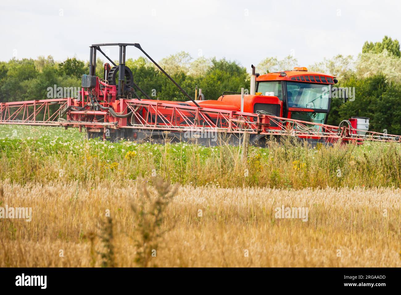 Eine selbstfahrende Feldspritze Sands Agricultural Machinery, SAM, Vision 4,0e auf einem Feld im Einsatz. Lincolnshire. Stockfoto