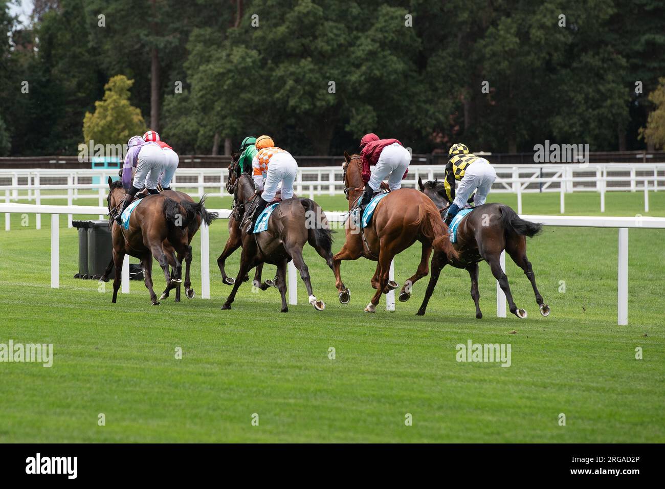 Ascot, Berkshire, Großbritannien. 28. Juli 2023. Der John Guest Racing Brown Jack Handicap setzt auf der Ascot Rennbahn am QIPCO King George Weekend. Kredit: Maureen McLean/Alamy Stockfoto