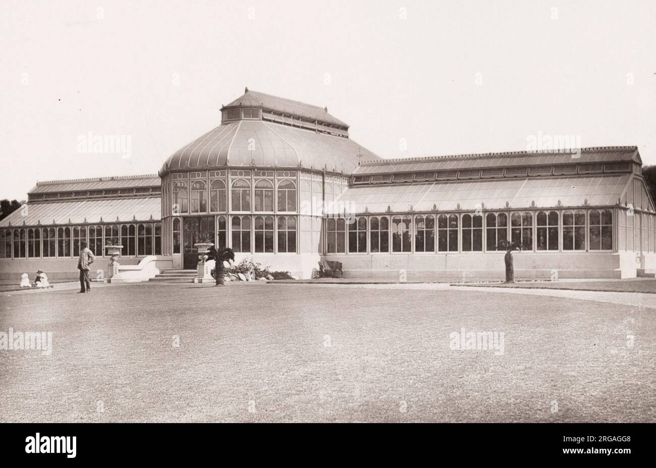 Vintage-Foto des 19. Jahrhunderts: Konservatorium, St. George's Park, Port Elizabeth. Stockfoto