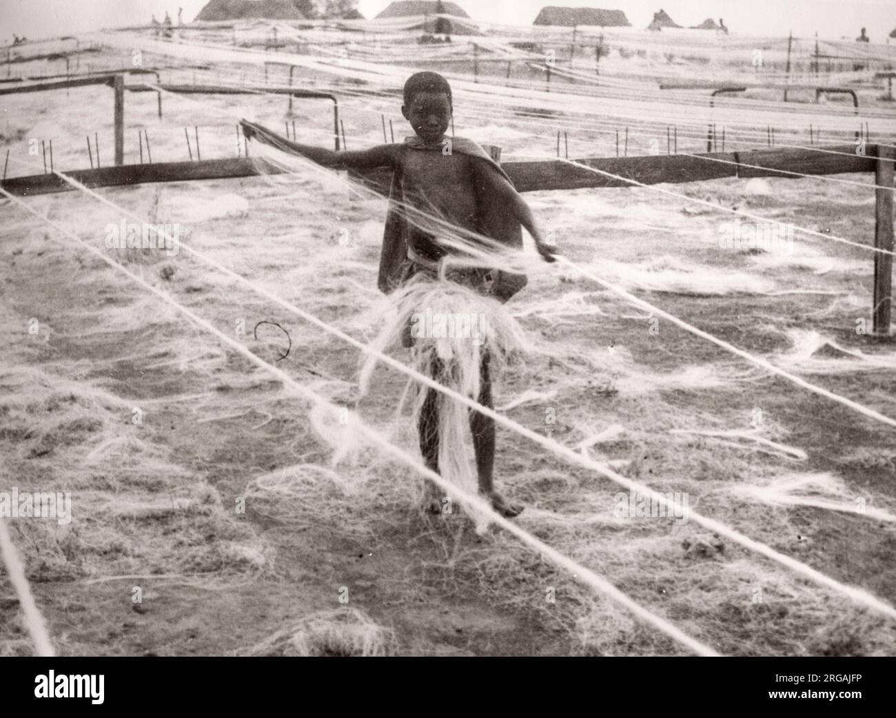 1940s Ostafrika - verarbeitende Industrie - Sisal, Kenia fotografieren von einem britischen Armeeanwärter, der während des Zweiten Weltkriegs in Ostafrika und dem Nahen Osten stationiert war Stockfoto